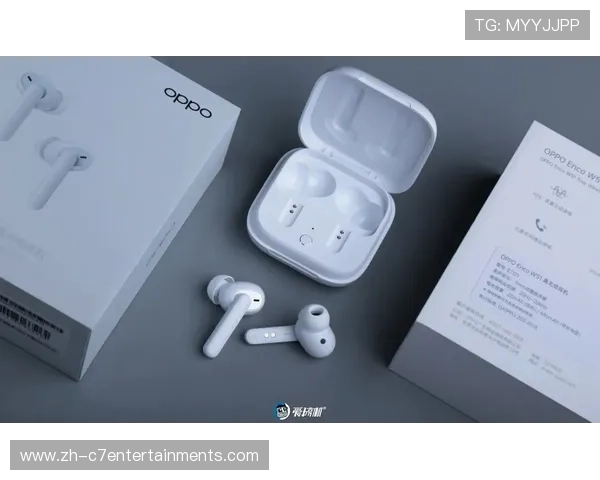 智能降噪技术提升现场音频质量